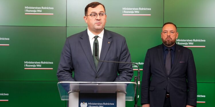 W powiecie piotrkowskim znaleziono martwe dziki (ASF). Możliwa dywersja