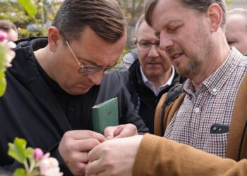 Wsparcie dla rolników po wystąpieniu przymrozków