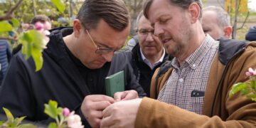 Wsparcie dla rolników po wystąpieniu przymrozków
