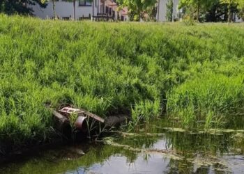 Kanał Wawerski – nierozwiązany problem wg. WWF