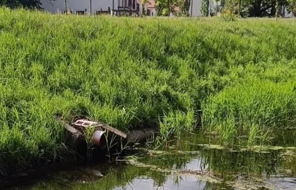 Kanał Wawerski – nierozwiązany problem wg. WWF