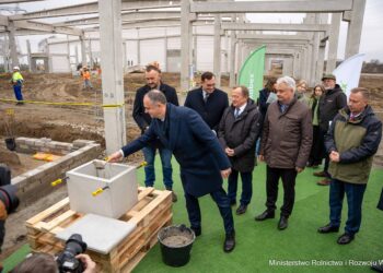 Powstanie EkoHala – przestrzeń dla ekologicznego handlu w Warszawie