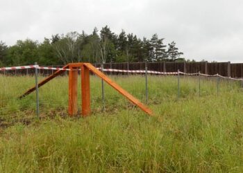 Wygrodzenia chronią przed ASF i niekontrolowaną migracją dzików