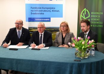 Ochrona niedźwiedzia brunatnego na Podkarpaciu i w Małopolsce