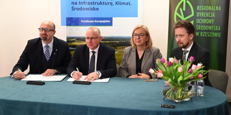 Ochrona niedźwiedzia brunatnego na Podkarpaciu i w Małopolsce