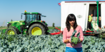 Krótkie łańcuchy dostaw w rolnictwie na przykładzie Warmii