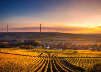 Polska ma dobre warunki do rozwoju morskich farm wiatrowych